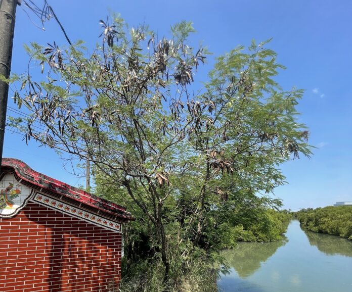 88efc949-6336-48d1-a7c9-96d72aaaff26