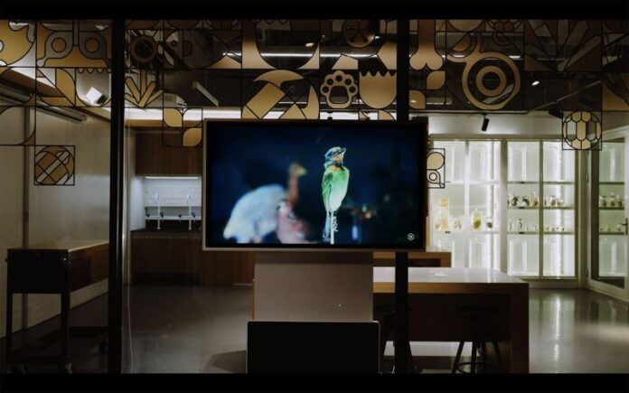 臺博館國際舞臺再發光!「藏之有物-開放庫房」榮獲「2023美國謬思設計獎」室內設計項目雙銀獎