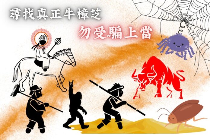台灣本島雞蛋配送