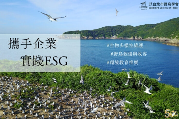 台北專業野鳥救援