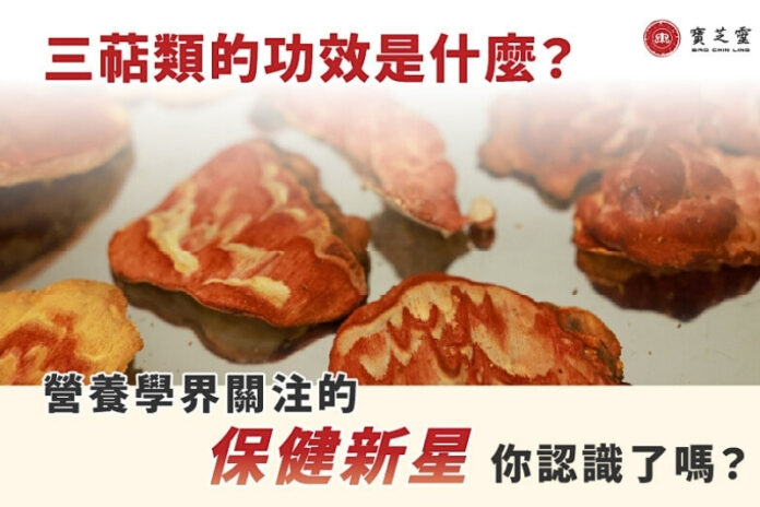 高品質牛樟芝線上專賣店推薦