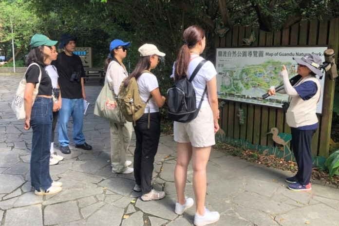 台北專業野鳥救援