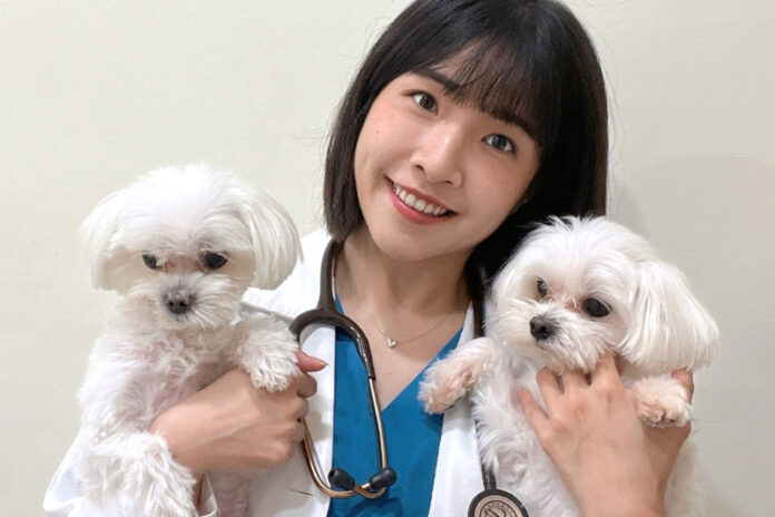 高雄左營區專業寵物美容教學推薦