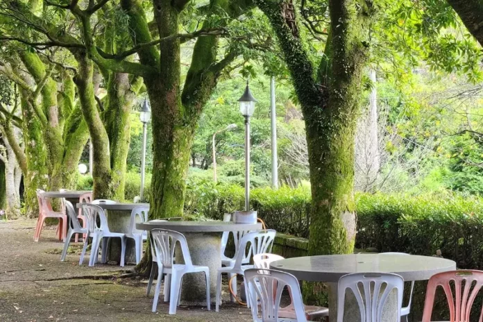竹子湖必訪餐廳推薦