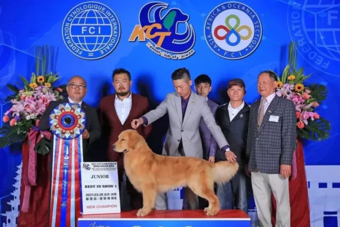 彰化犬隻培育場推薦