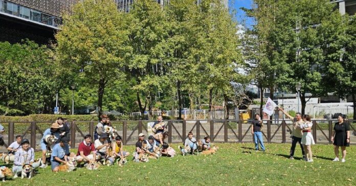 「2025臺北狗狗運動嘉年華-柯基PK大賽」今(18)於信義廣場熱鬧登場