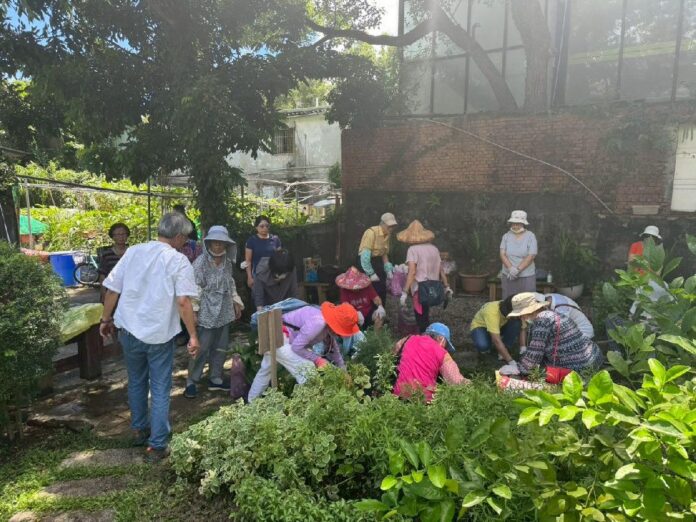 菜蔬變身上板植物 田園城市推出美化生活大招