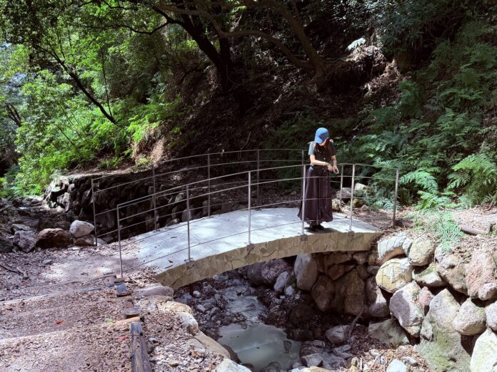 北市郊山微旅行 享受山林溫泉趣