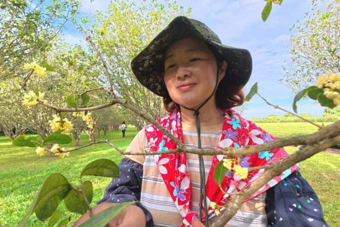 南投松柏嶺茶藝館推薦