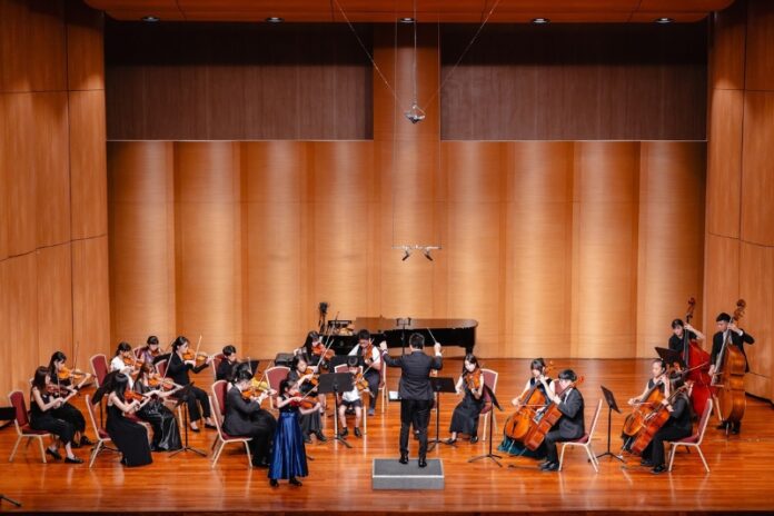 小提琴弦樂團精緻演出邀約首選