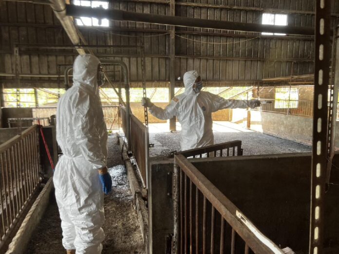 國軍漏夜進駐台中非洲豬瘟案例場支援清消工作 農業局長赴現場慰勞致謝