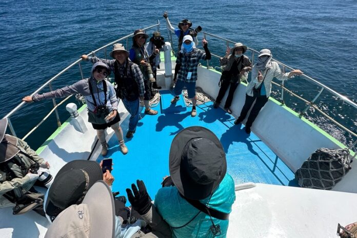 台北專業野鳥救援