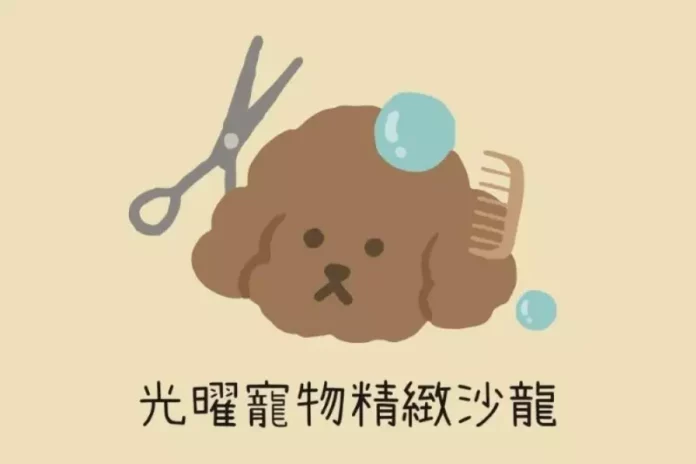 高雄左營區專業寵物美容教學推薦