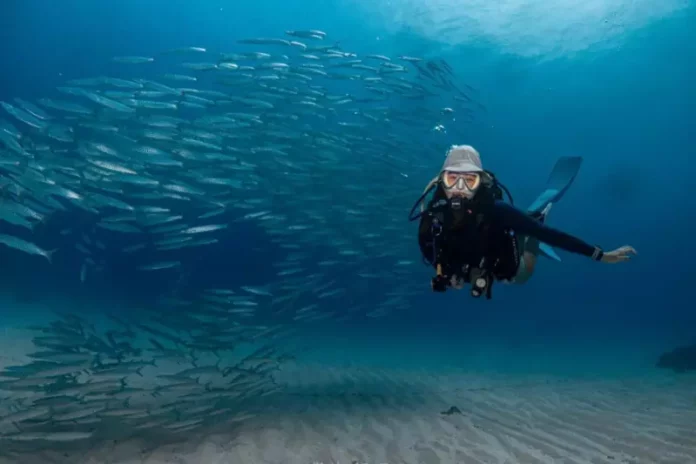 小琉球潛水課程
